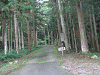 camp23 (31)_samu.gif